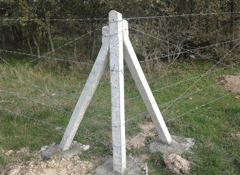 düz-3